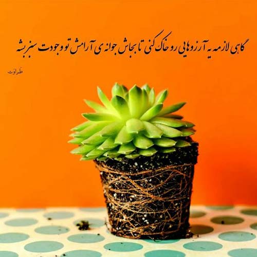 آهنگ با تو جون میده همه شبا رو بزنی بیرون بمونی تا صبحو