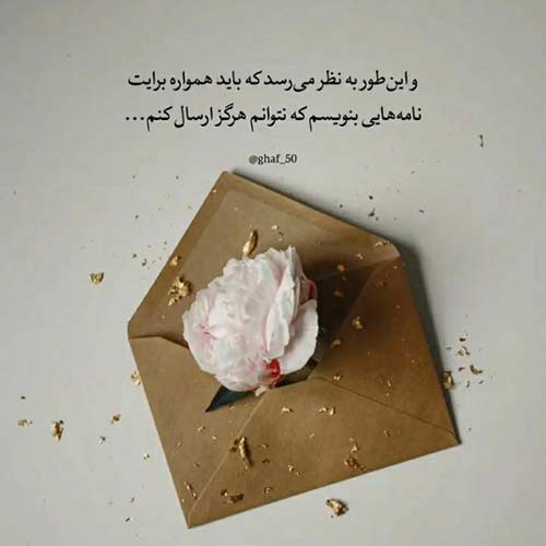 آهنگ نمیدم دل به این درد دنیا
