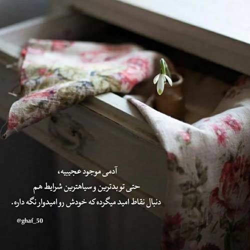 آهنگ مهدی احمدزاده جاده هراز