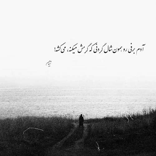 آهنگ تلخم همچو شراب تو ببین حال مرا با صدای زن