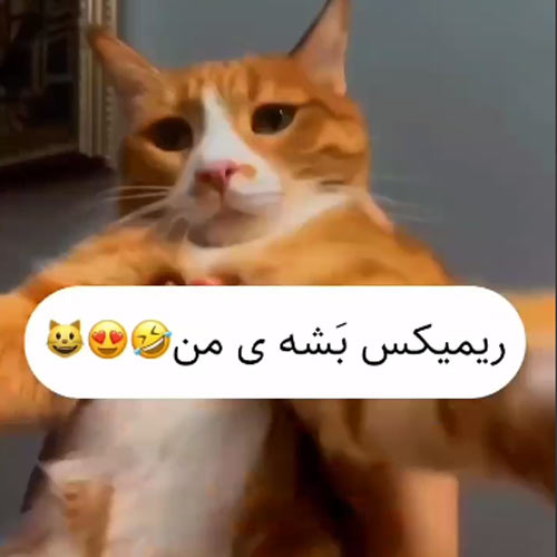ریمیکس بشه ی منه فداش بشم منه