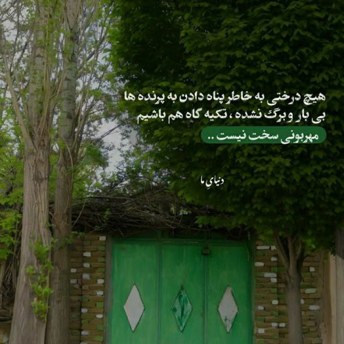 آهنگ و دور سرت بگردم مه با همه جز تو سردم علی بیرو
