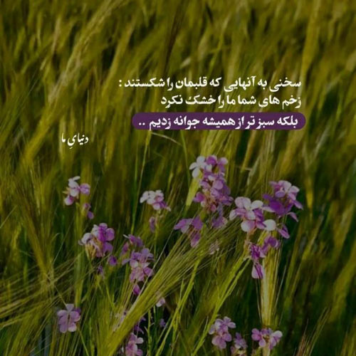 آهنگ ناری ناری حبک ابد ما طفه