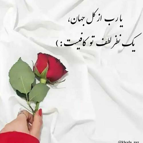 آهنگ مثل پروانه دور تو میگشتم حامیم