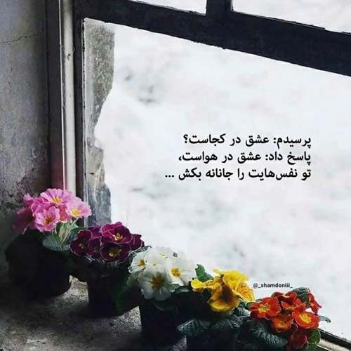 آهنگ دیگه داره روح از تنم میکنه و میره