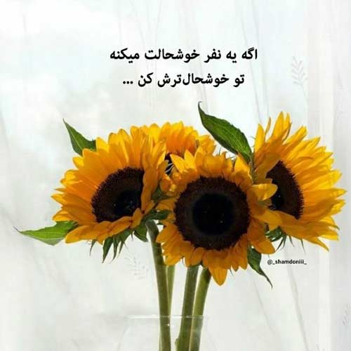 عو عو عو او او او صادق بوقی بدون ریمیکس و آهنگ