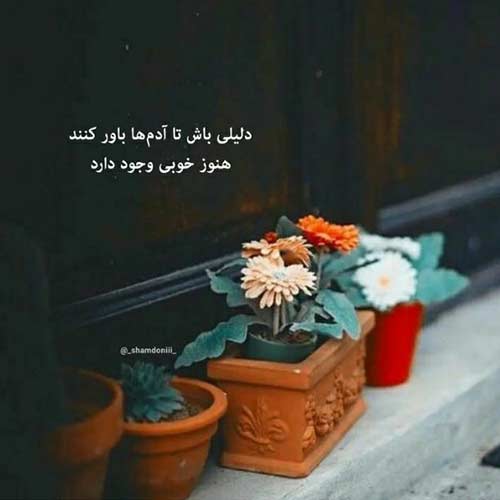 اهنگ دیدی که صبح نیومد و هوای خونه شب شد