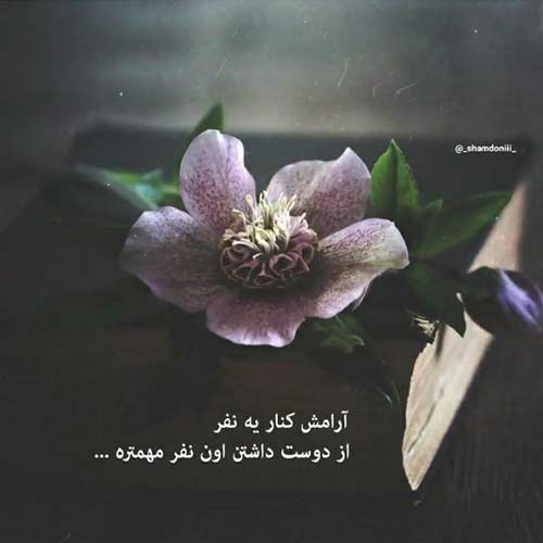 آهنگ Let Me Down Slowly از Alec Benjamin