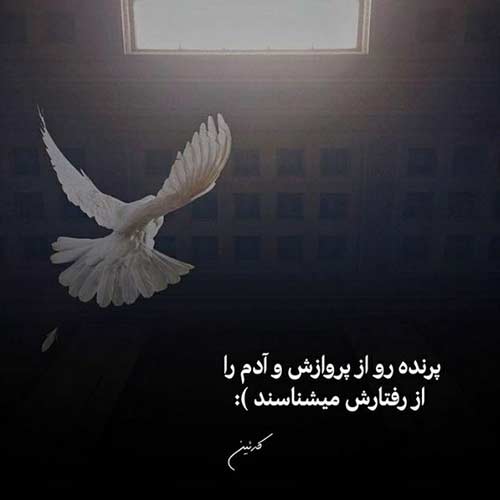 آهنگ شطرنج قلبمان سرباز نداره حمیدرضا بابایی