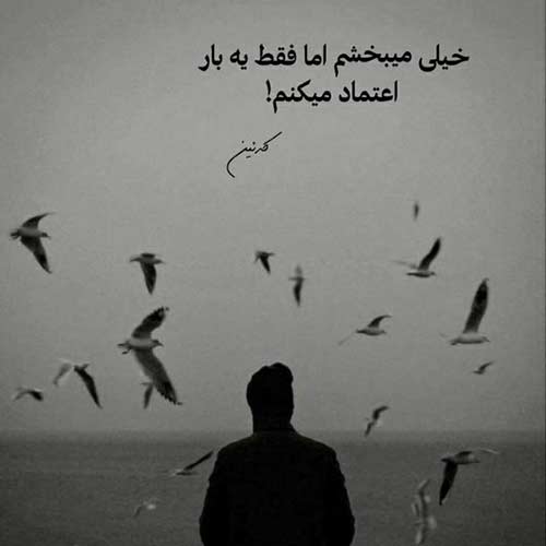 آهنگ مثل برد بود باختن قلبم به تو