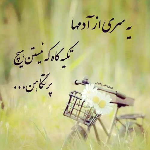 آهنگ در سکوت شب خانه زد فریاد