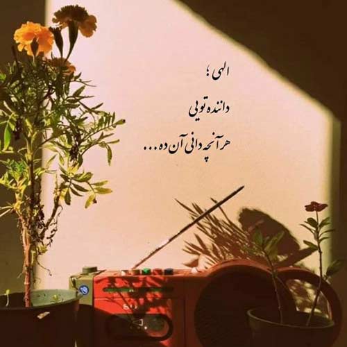 آهنگ هله هلی هلی لونه جشنمون تو خیابونه