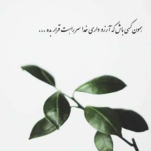 آهنگ سور زدی به گلا فابمی به مولا عشقمی به خدا