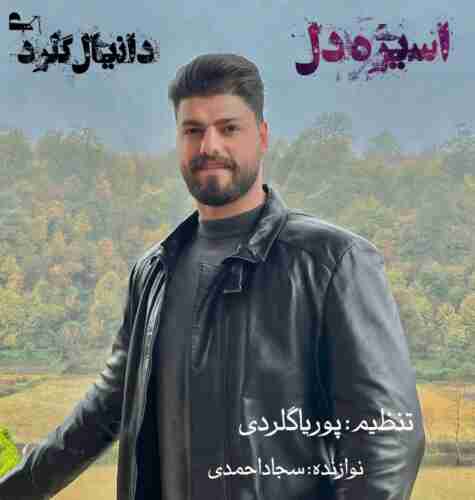 آهنگ اسیره دل دانیال گلردی