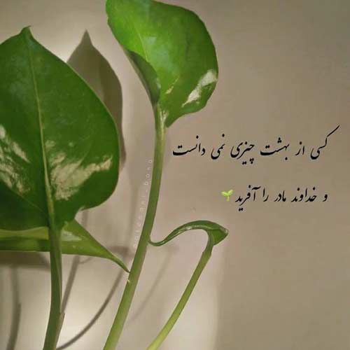 آهنگ الان دور هم جمعیم پلیسام کردن کمین