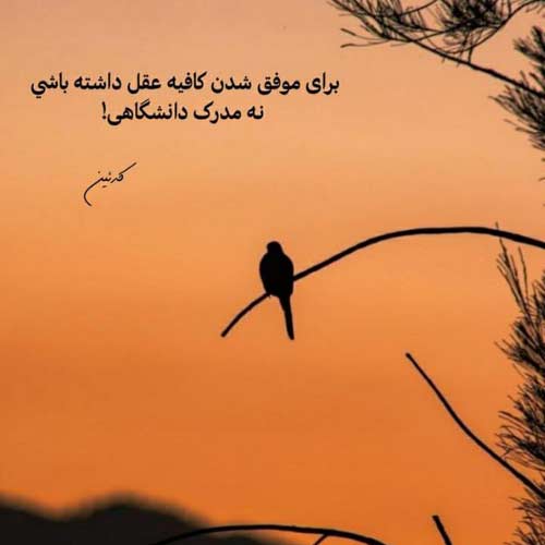آهنگ به مولا پاش بیافته دنده عقب نداره
