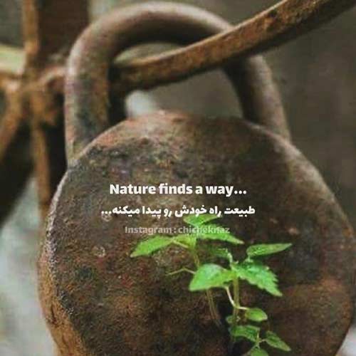 دانلود آهنگ فرشید حکمتی زمونه / نسخه اصلی