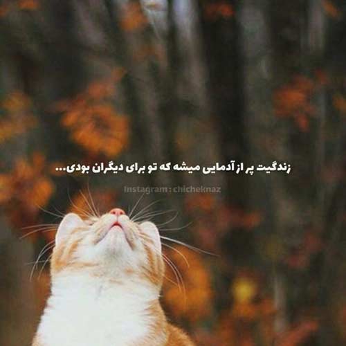 ریمیکس دیوانه وار دوسش دارم عاشق چشای ناز و سیاشم علی احمدیانی