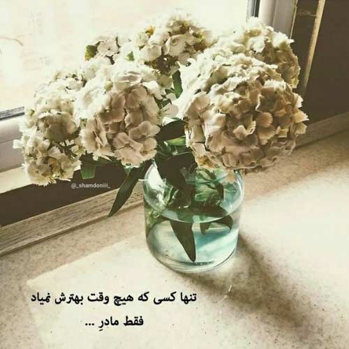 دانلود آهنگ میخوای گریه کنی گریه کن بی تربیت MP3