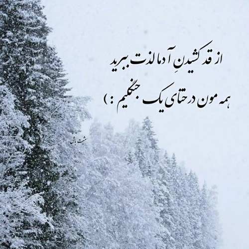دانلود آهنگ یاکا یاکا مصطفی ججلی / نسخه اصلی MP3