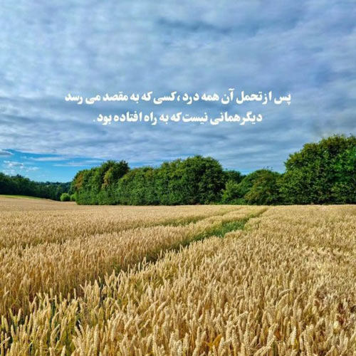 آهنگ شدم یه شاپرک ایستاده جلو تگرگ علی احمدیانی