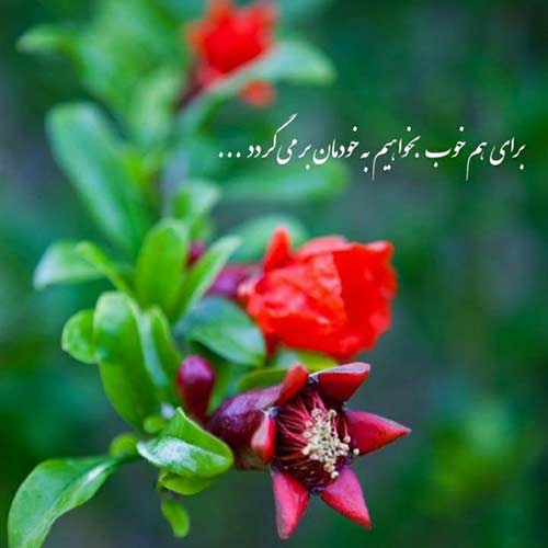 دانلود آهنگ قربان چویلت چویلت دنیامه