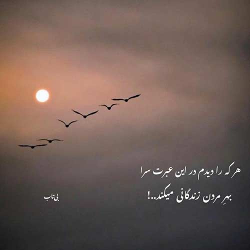 دانلود آهنگ ستاره پر نورمی علی احمدیانی MP3