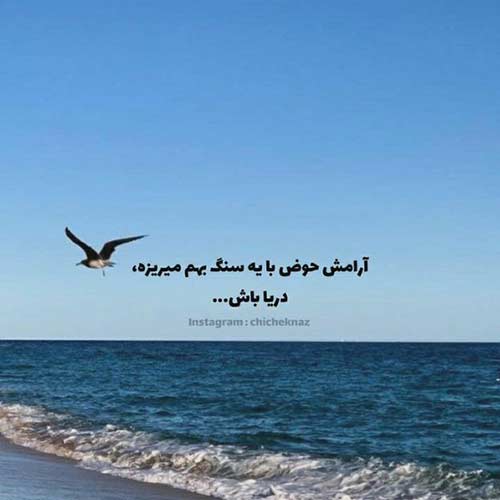 آهنگ مهم نیه فدای سرت زندگیم حالت خوبه شعیب نعمتی نیا