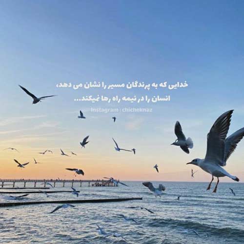دانلود آهنگ گل المه ناز منه ناز ایلمه اولماز منه MP3