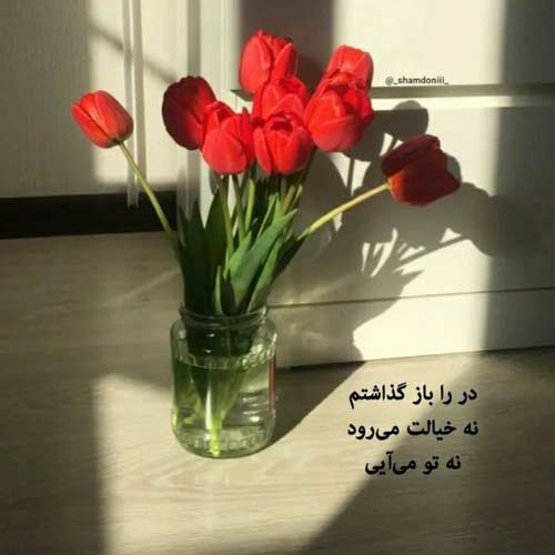 آهنگ دلتنگه این دلم توی هوای تو امشب پروانه میشم سعید کریمی