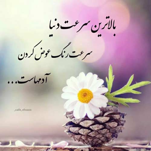 آهنگ آقا ممد جونم قد و بالاش وای ناز نگاش بگردم