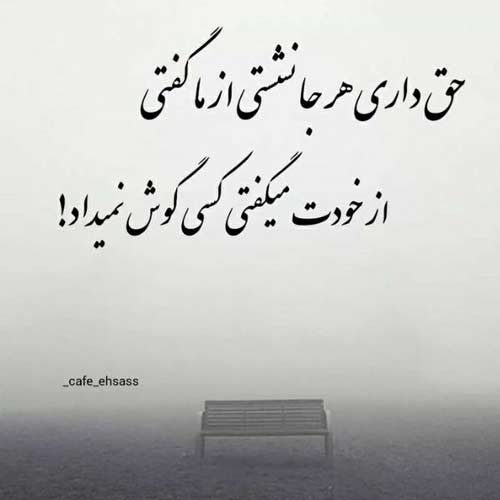 دانلود آهنگ عه عو عه عو عو عی عا با صدای گربه اینستا MP3