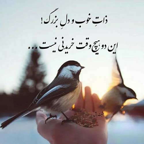 دانلود آهنگ قصه تو واسه من فرق داره با همه هوش مصنوعی