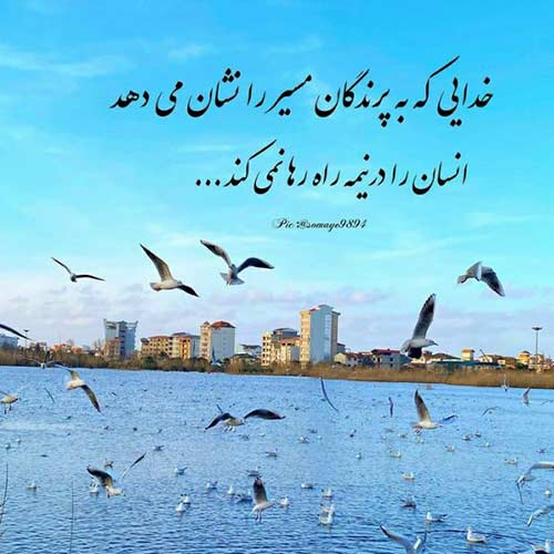آهنگ یهو برق تو چشمات جوون میگیره محسن چاوشی
