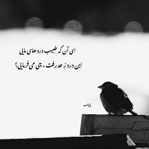 آهنگ یکی اومده جات هایده شادمهر معین هوش مصنوعی MP3