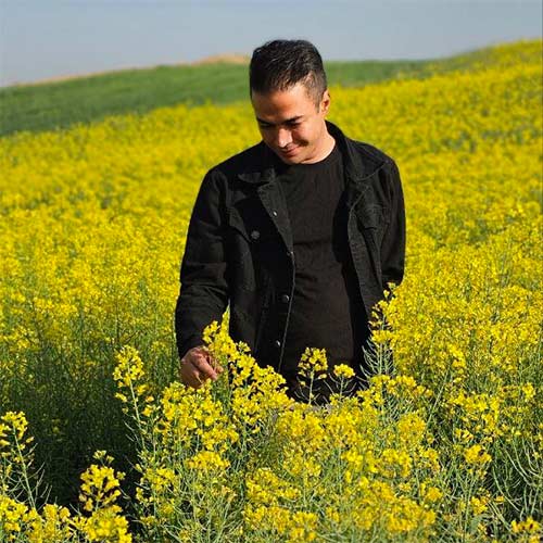 آهنگ فربد رحیمی