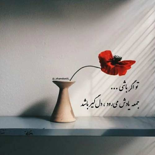 دانلود آهنگ شب به گلستان تنها منتظرت بودم با صدای زن ریمیکس