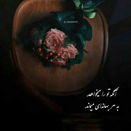 آهنگ چوچوی وست دوباره گرگ زید گله هانه قاسم فاضلی