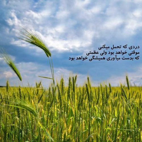 دانلود آهنگ حالا که مو وابسته وابیم به تو قاسم فاضلی
