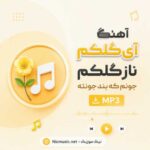 آهنگ آی گلکم ناز گلکم جونم که بند جونته هوش مصنوعی MP3