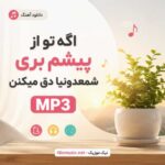 آهنگ اگه تو از پیشم بری شمعدونیا دق میکنن هوش مصنوعی پونه MP3