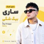 دانلود اهنگ ساری بیگ شگی / Big Shaggy Sorry